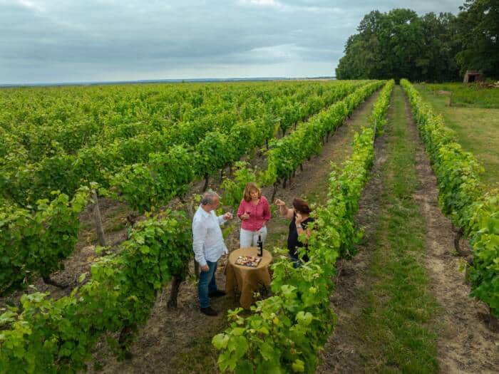 Dégustation dans les vignes au Domaine de Villemont