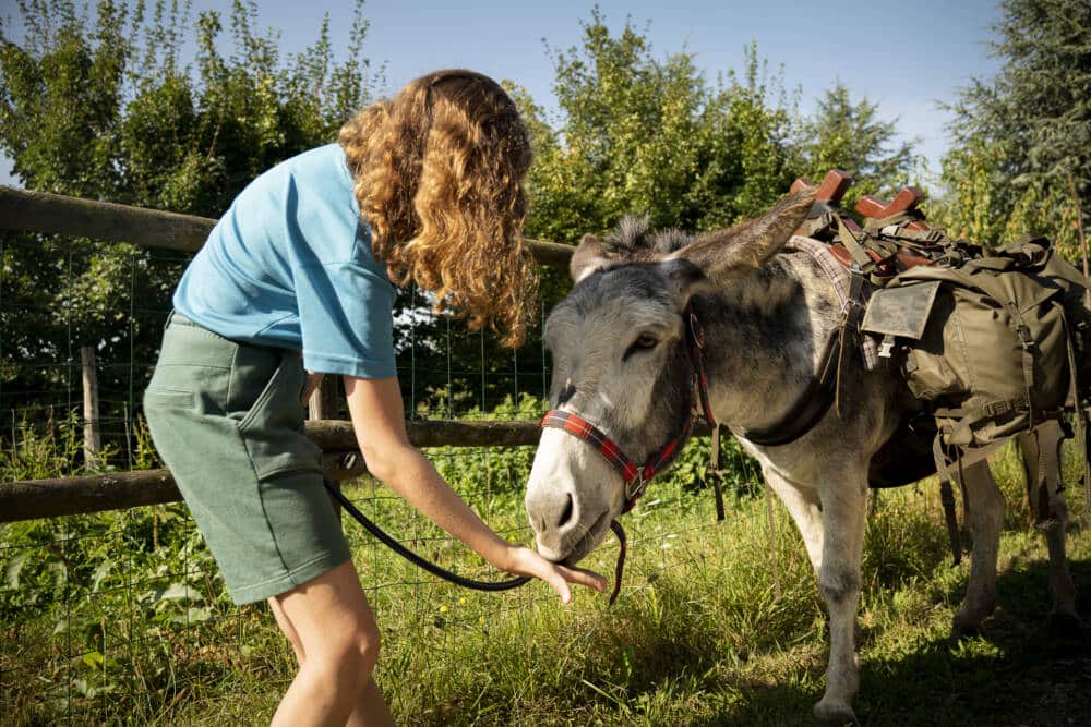 La Belle anee Credit Thomas Jelinek Agence Zebrelle 31 - Tourisme Vienne