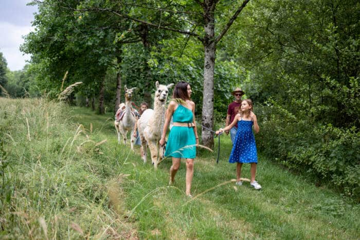 Hike Lama with Belle Anée in Jazeneuil