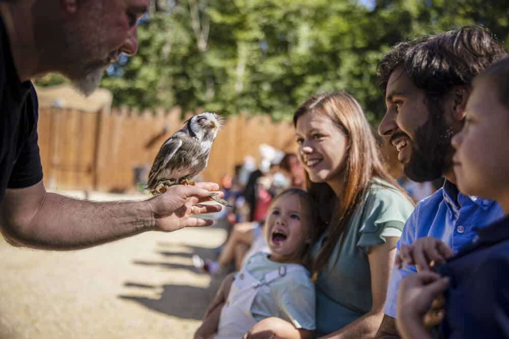 Center Parcs Domaine du Bois aux Daims Milan Vermeulen 11345 - Tourisme Vienne