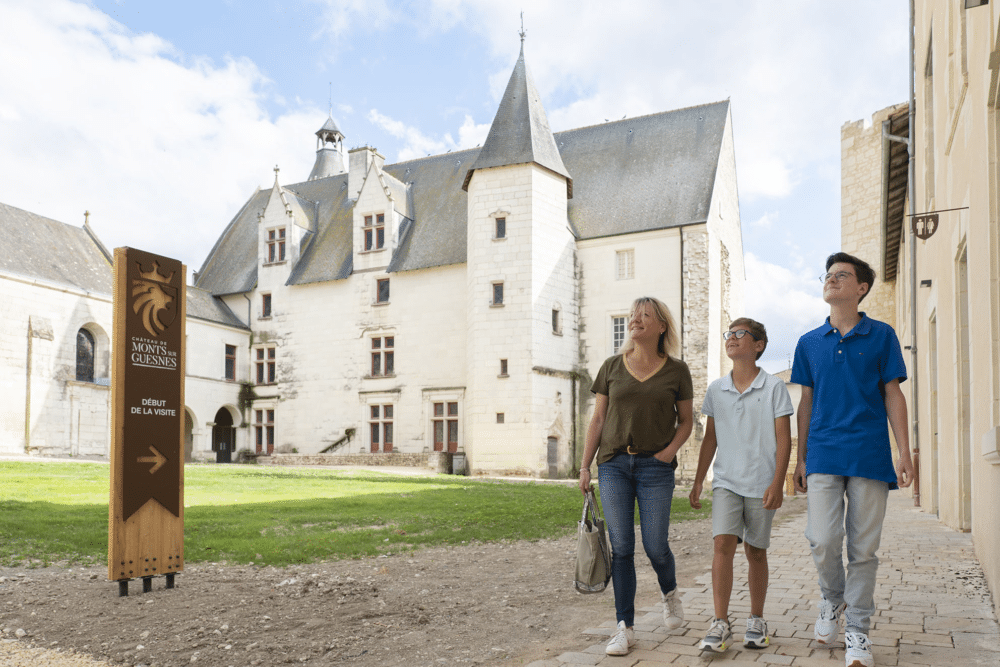 Chateau de Monts sur Guesnes Agence Zebrelle Bastien SAUVE 11420 - Tourisme Vienne