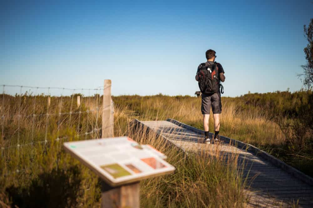 Réserve Naturelle Nationale du Pinail