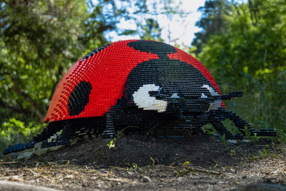 Coccinnelle en Lego