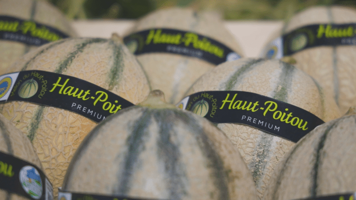 Melon IGP du Haut Poitou Syndicat des producteurs de melons du Haut Poitou 13651 - Tourisme Vienne