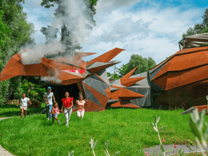 Terre de Dragons
