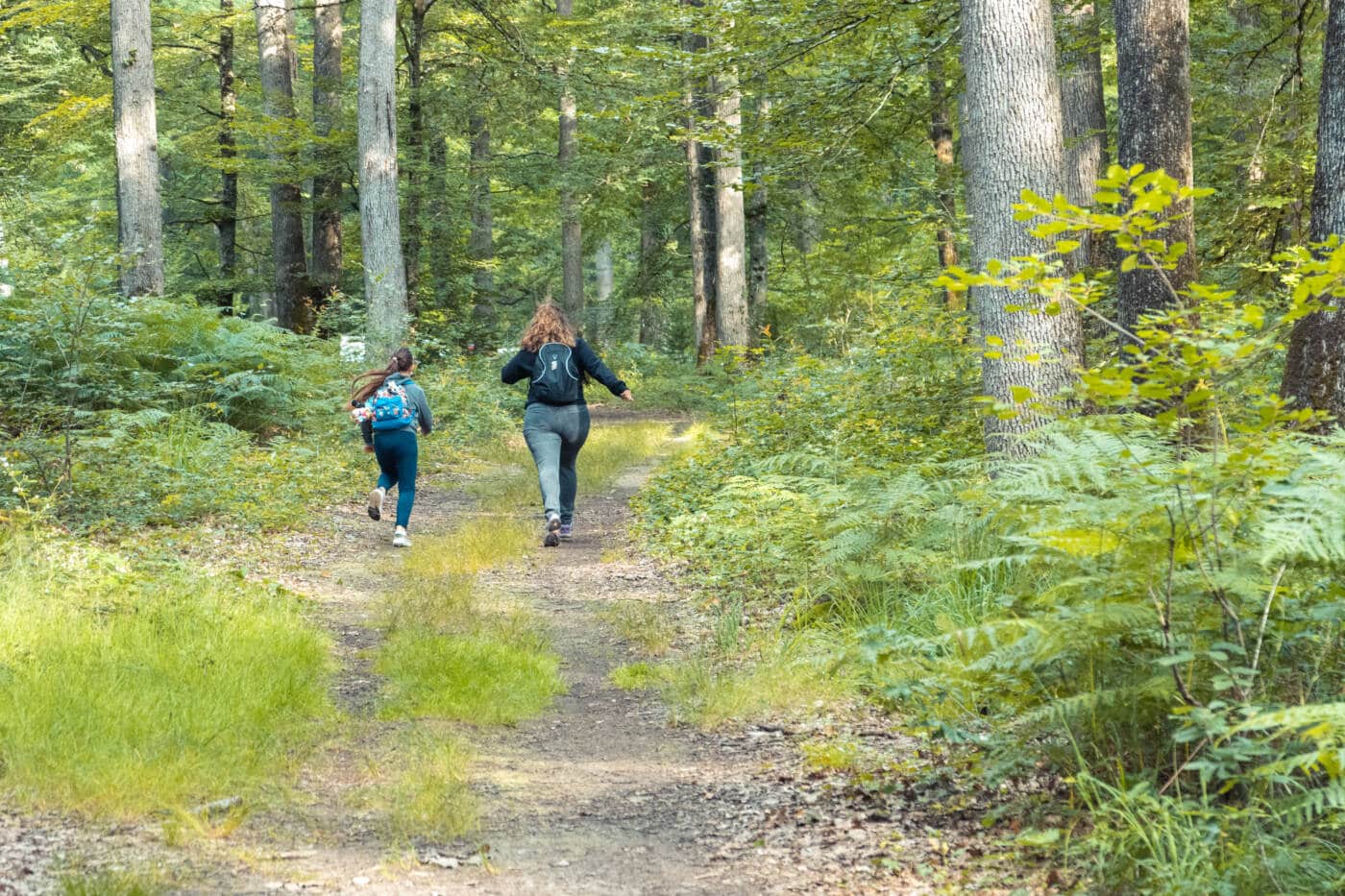 Forêt de Vouillé