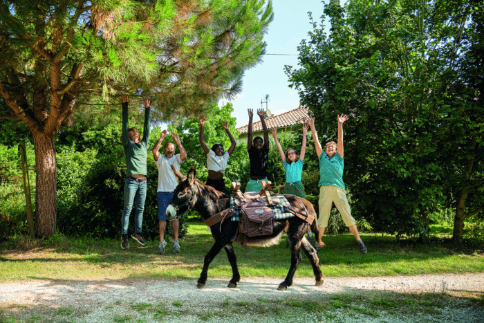 Spaziergang mit Eseln mit La Belle Anee Agence Zebrelle Thomas JELINEK 3073 - Tourismus Vienne