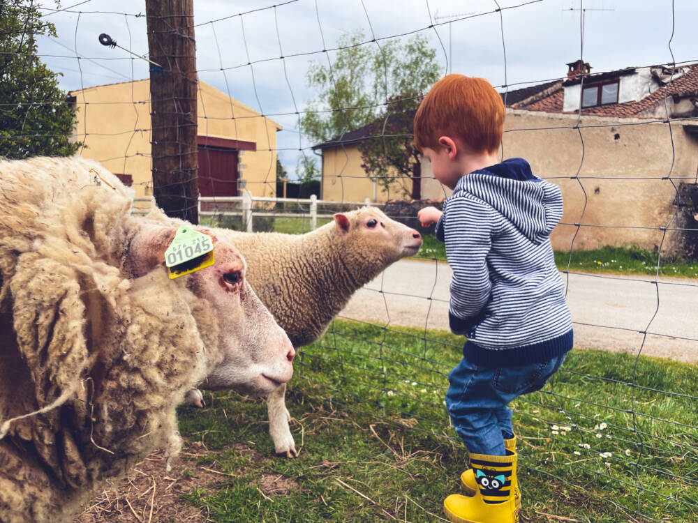 La Fermothèque, séjour à la ferme