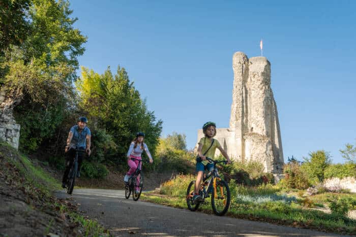 La ligne verte Agence Zebrelle 12861 - Tourisme Vienne