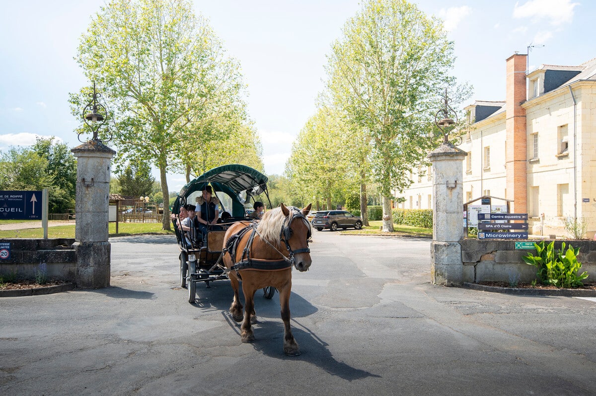 Balade à cheval au Domaine de Roiffé