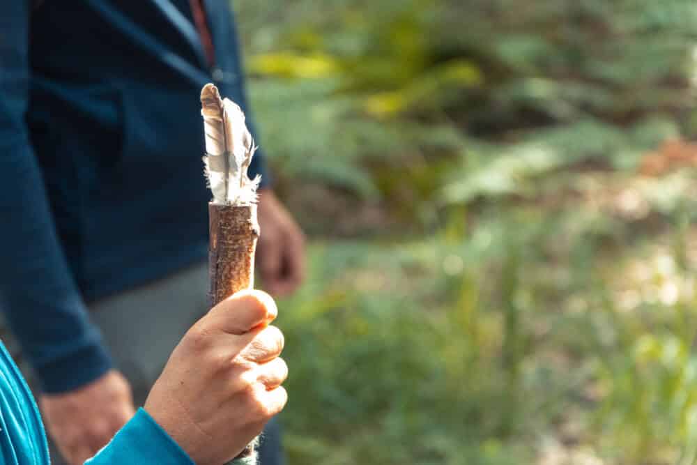 Bain de Foret Agence de creativite et d attractivite du Poitou 1096 - Tourisme Vienne