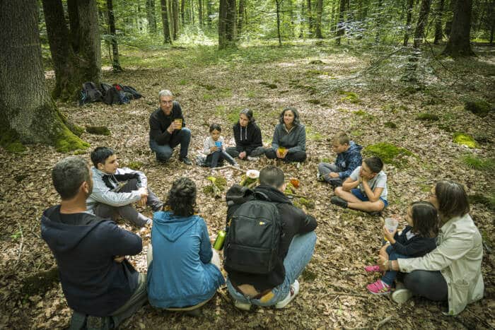 Bain de forêt