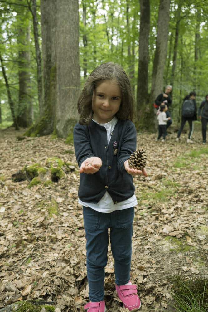 Bain de forêt