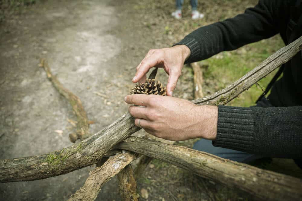 Bain de Foret