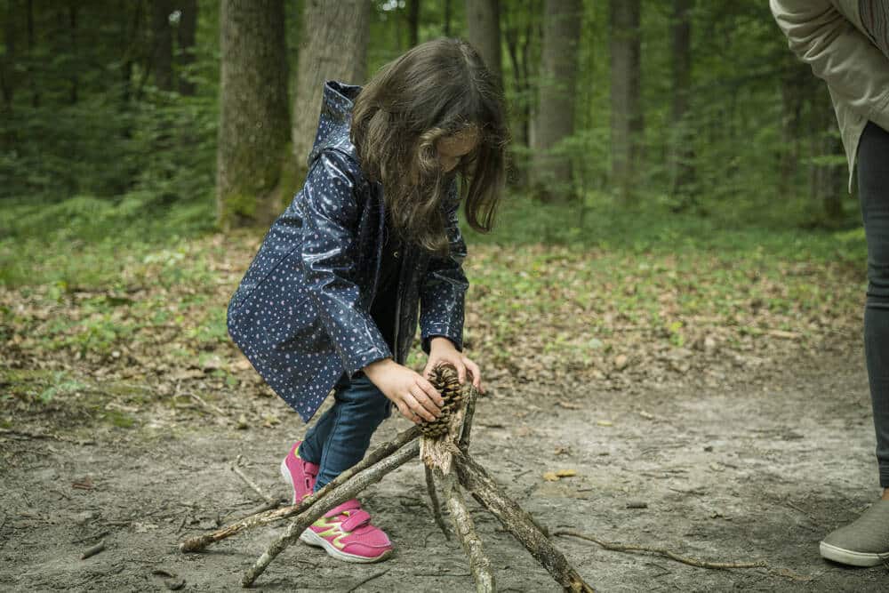 Bain de forêt