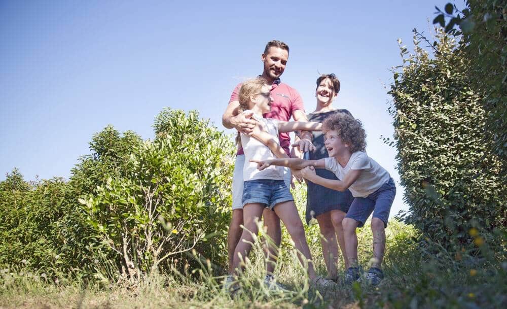 Ecolaby gegen Cradolaby