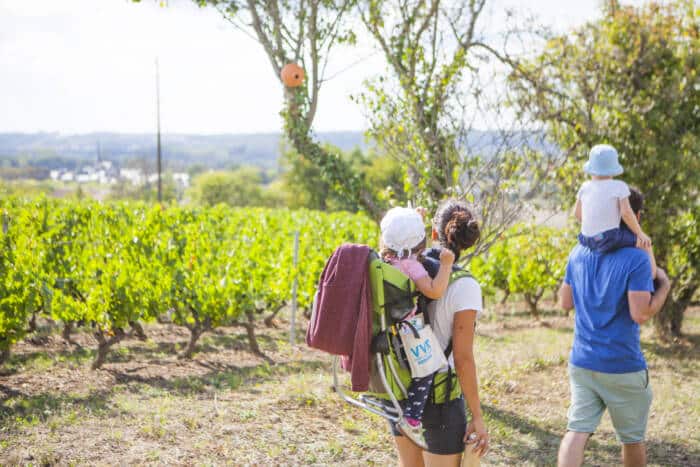 Evénement Vignes Vins Rando