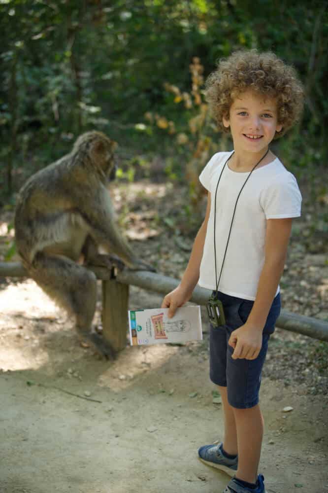 L'aventure de Kaya à la Vallée des singes