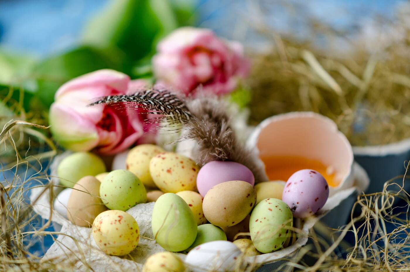 Joyeuses Pâques et bonne chasse aux œufs.