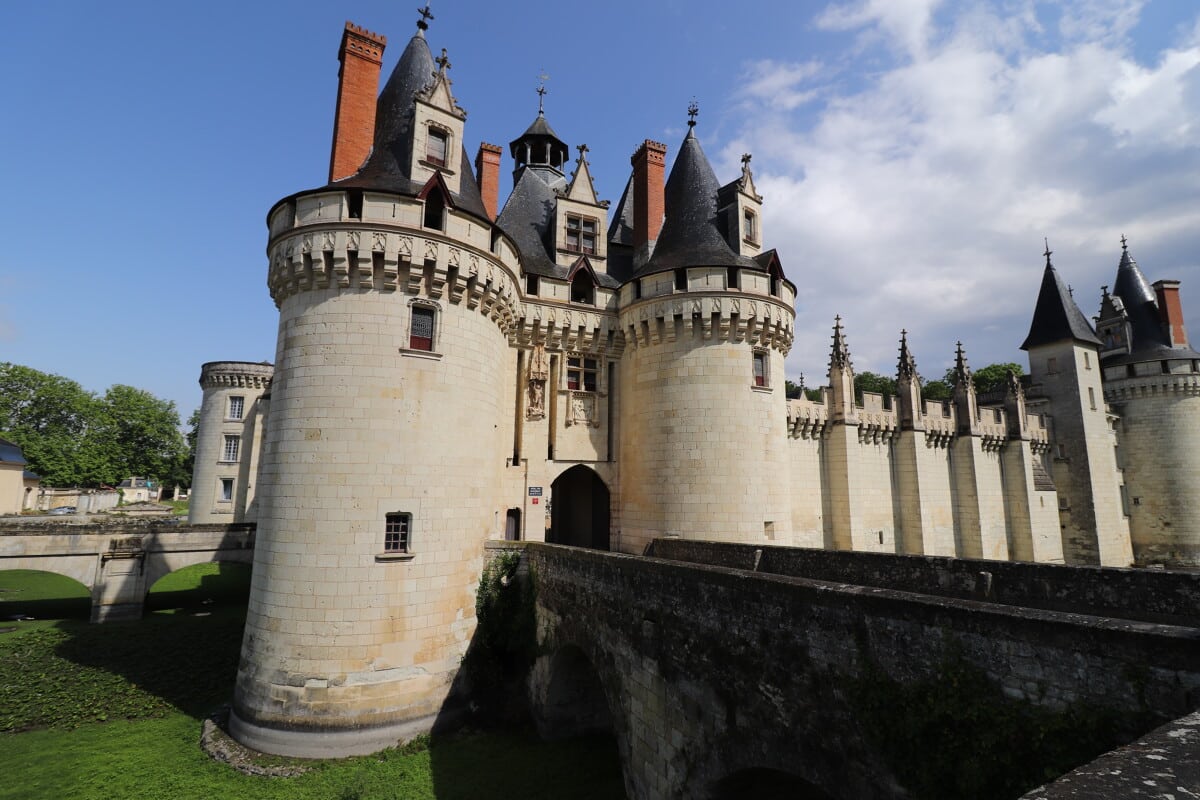 Chateau de Dissay Claire COULARDEAU 13969 - Tourisme Vienne