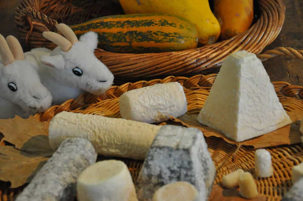 Fromages de chèvre