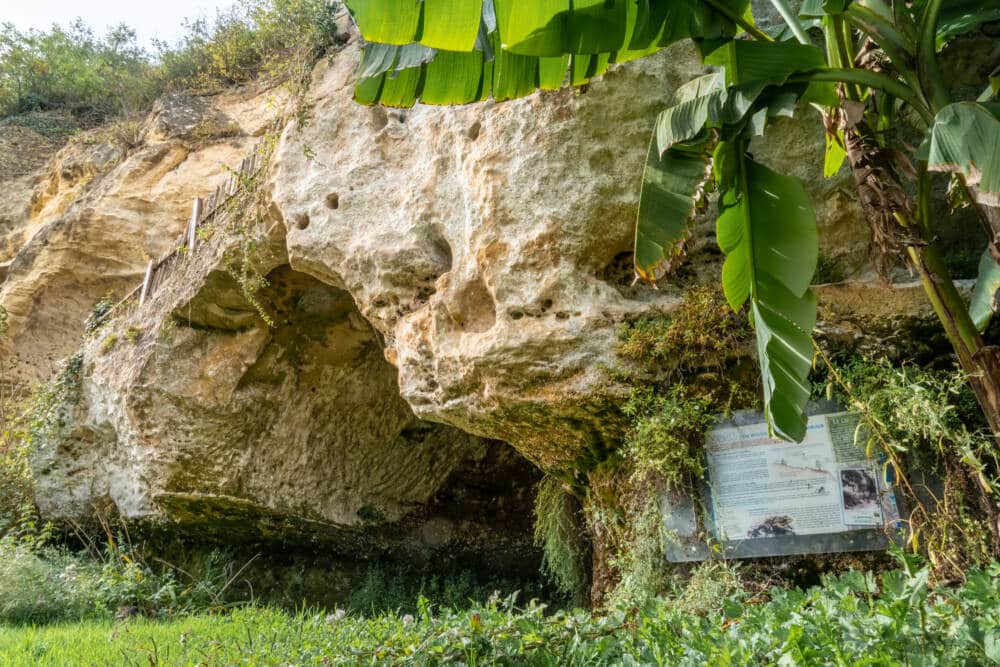 Parcours Tèrra Aventura à Saint-Rémy-sur-Creuse