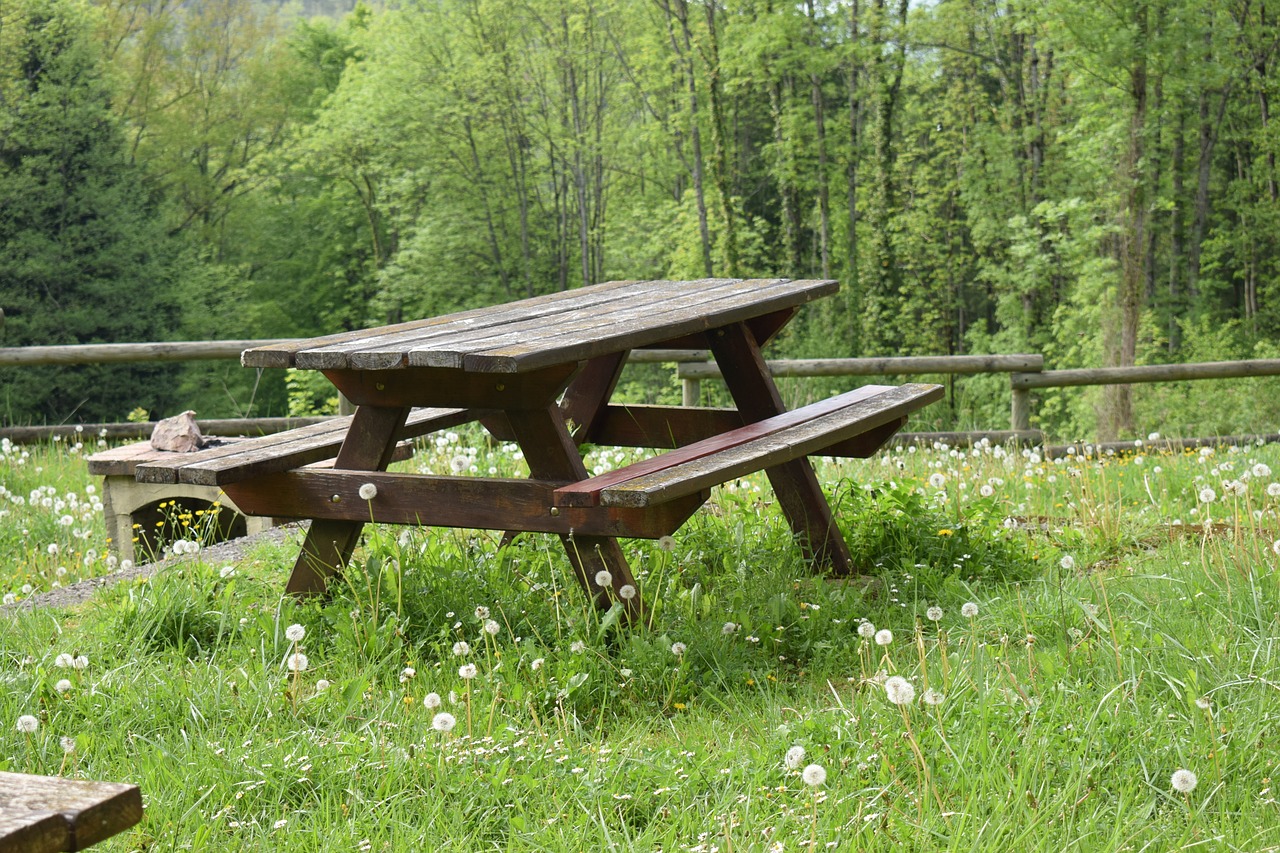 Table pique-nique le long de la Ligne Verte