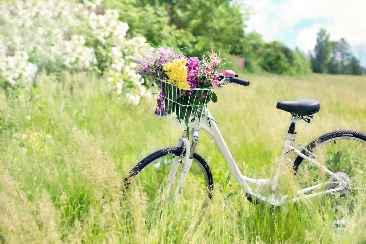 Location de vélo dans la Vienne