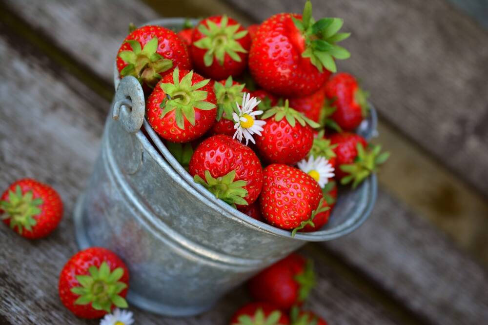 Fraises, produits frais