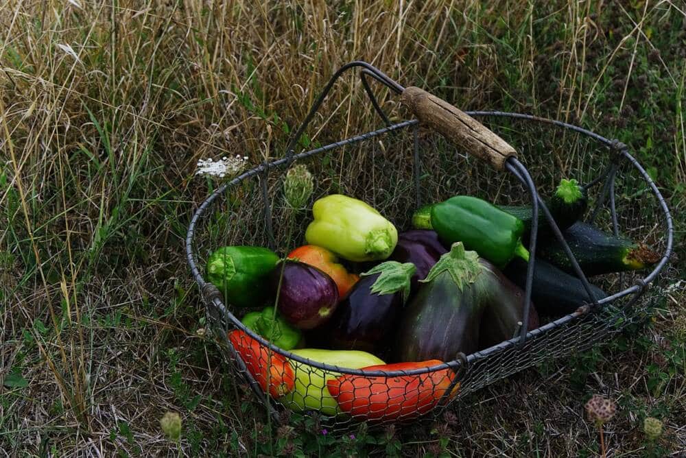 Légumes frais : aubergines, poivron ...