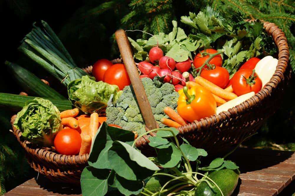 Panier de légumes frais