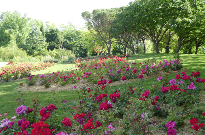Parc de la Roseraie