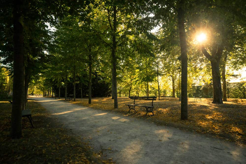 Parc de Blossac a Poitiers Agence de creativite et d attractivite du Poitou 1425 - Tourisme Vienne