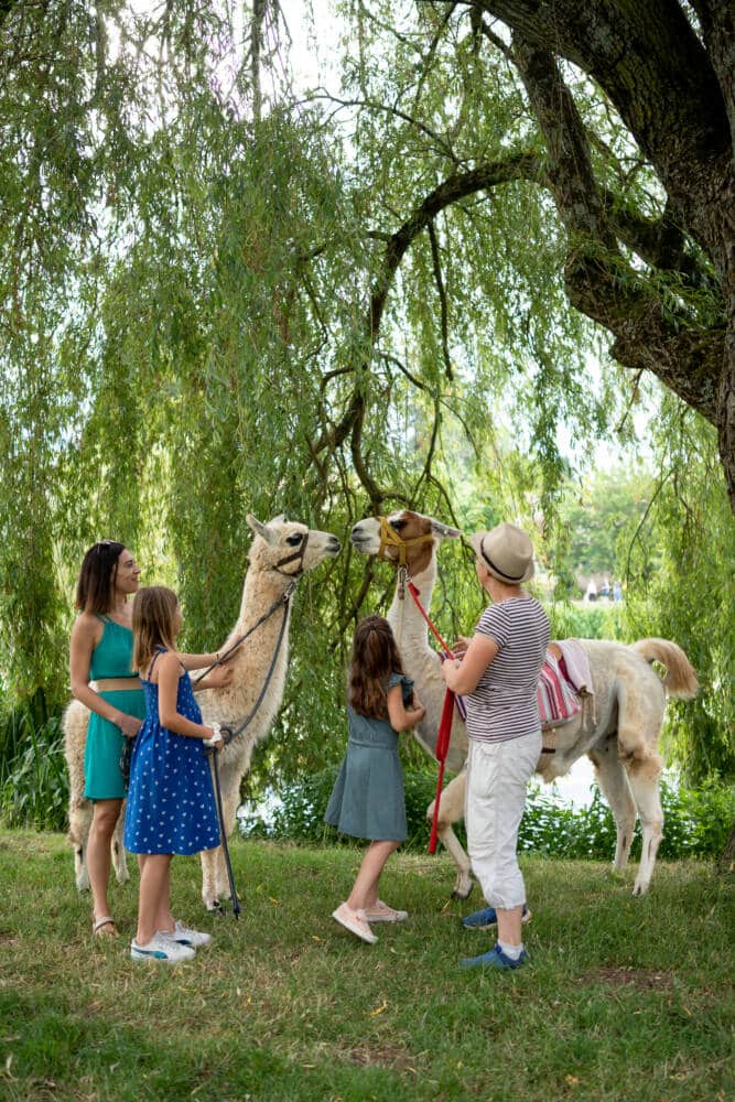 Rando Lama avec la Belle Anée