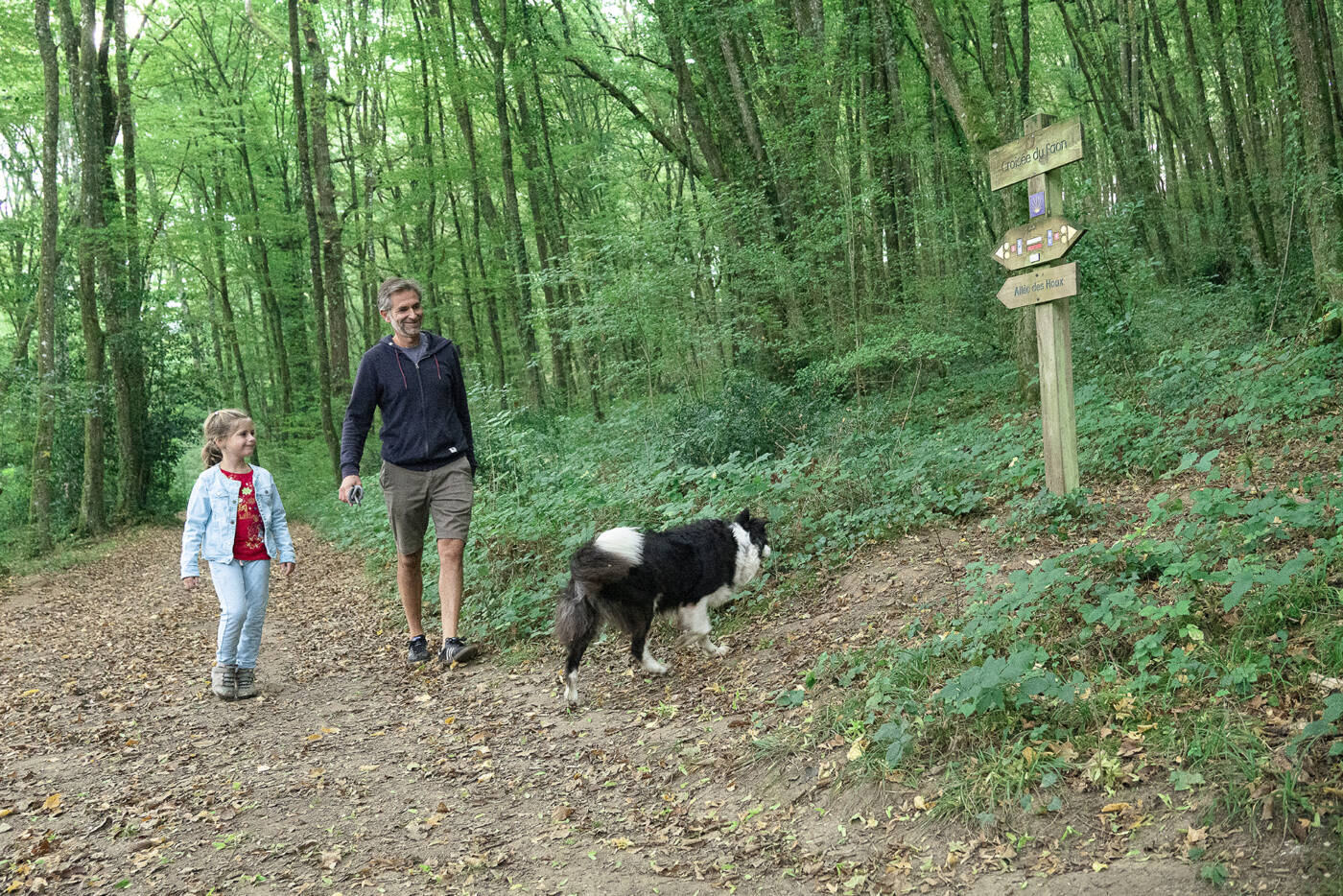 Randonnée dans les bois de Givray