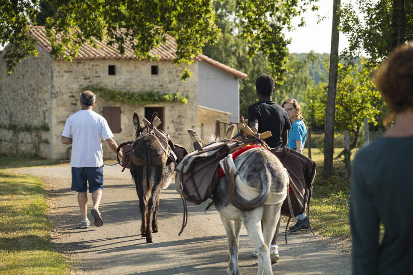 Balade avec des ânes avec la Belle Anée