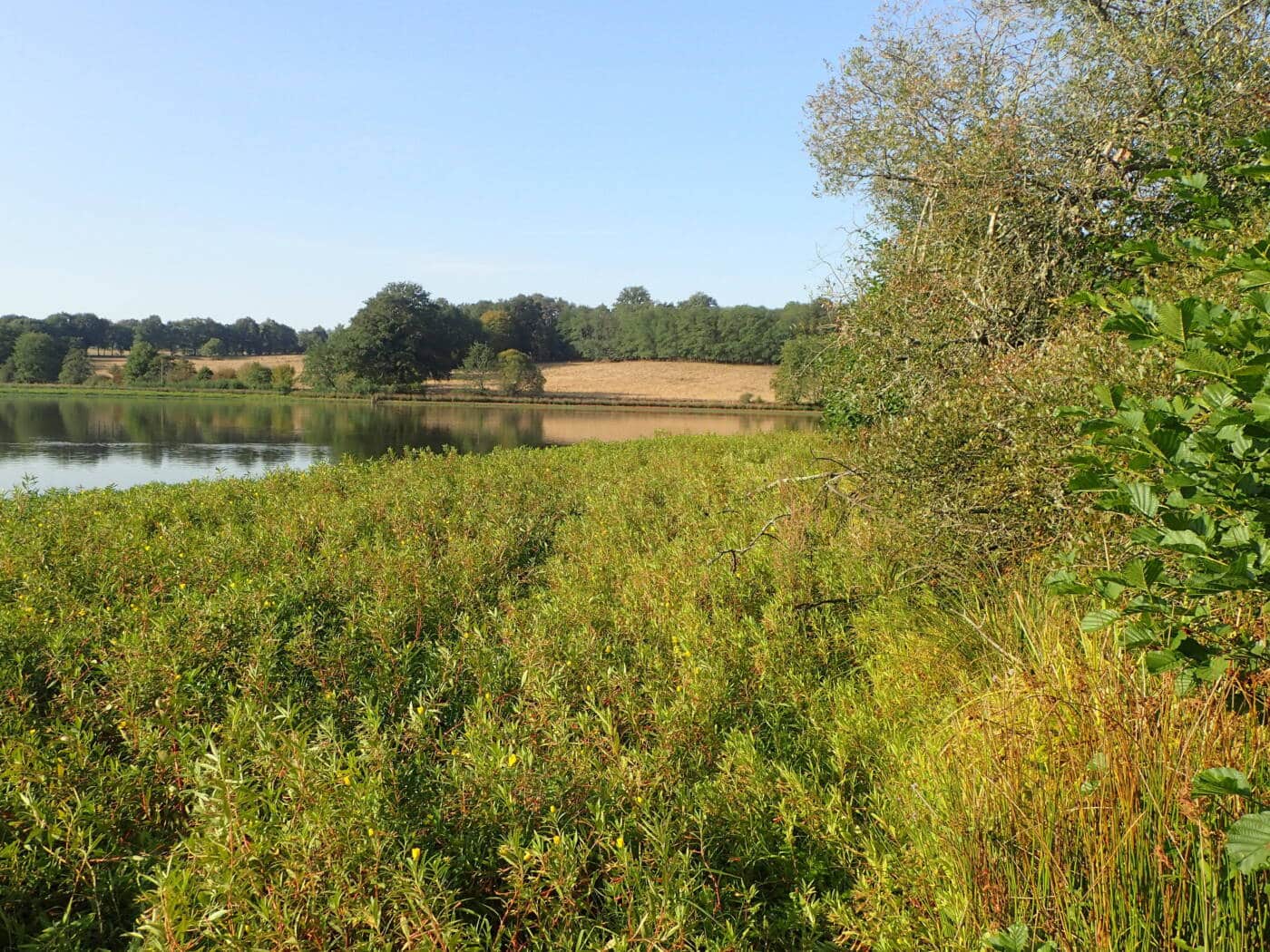 Etangs dAsnieres - Tourisme Vienne