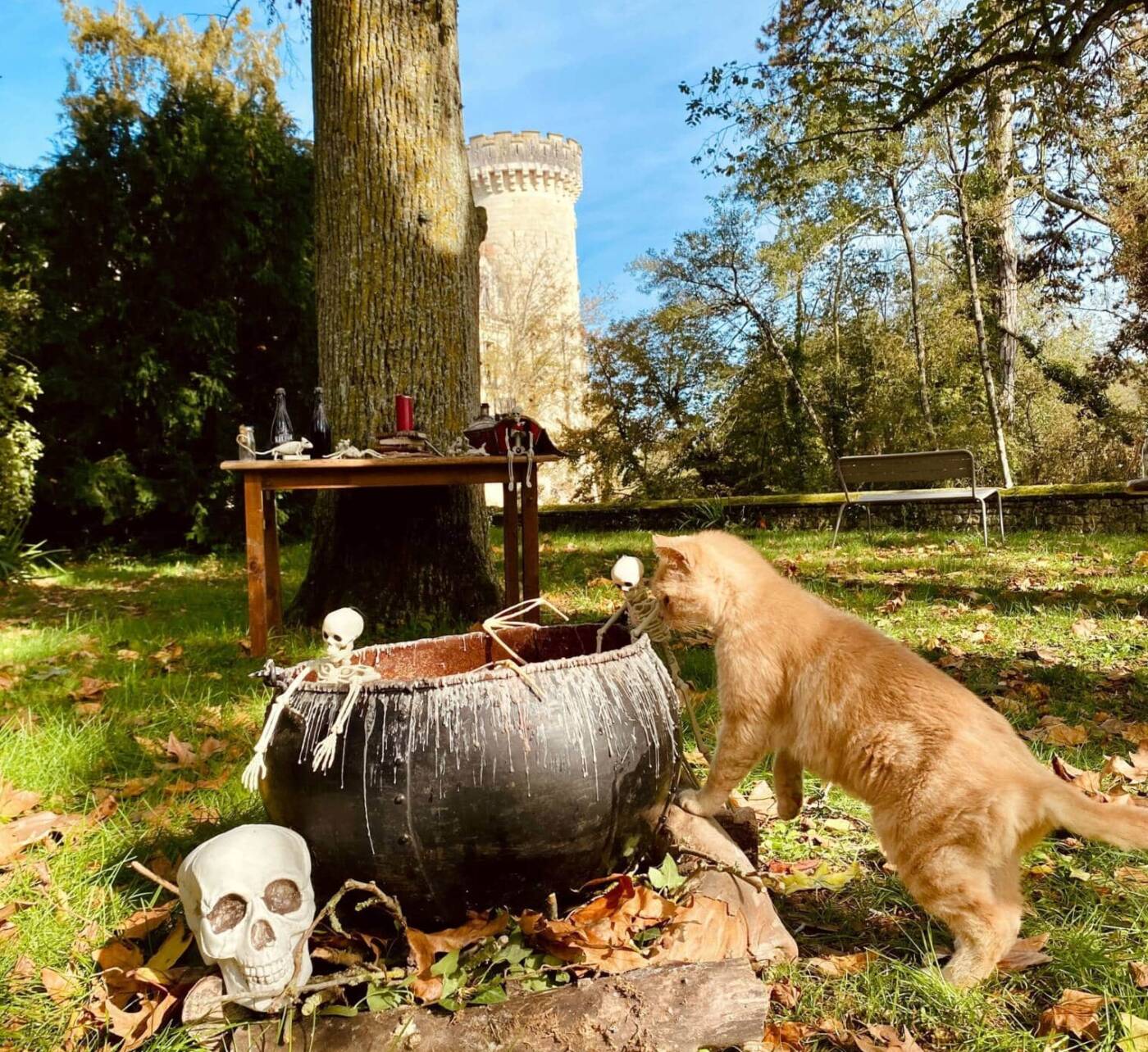 Halloween à la Mothe Chandeniers
