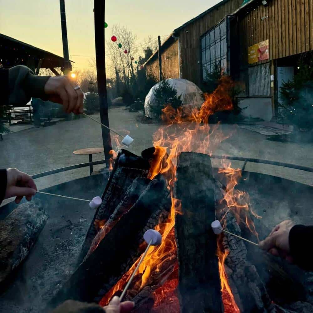 Brasero au Tison 1800m