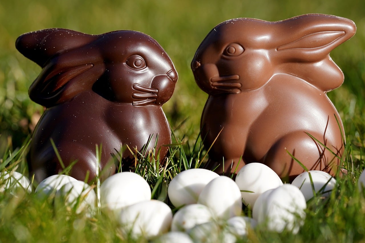 Des lapins en chocolat