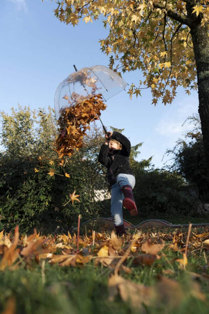 Domaine de Roiffé