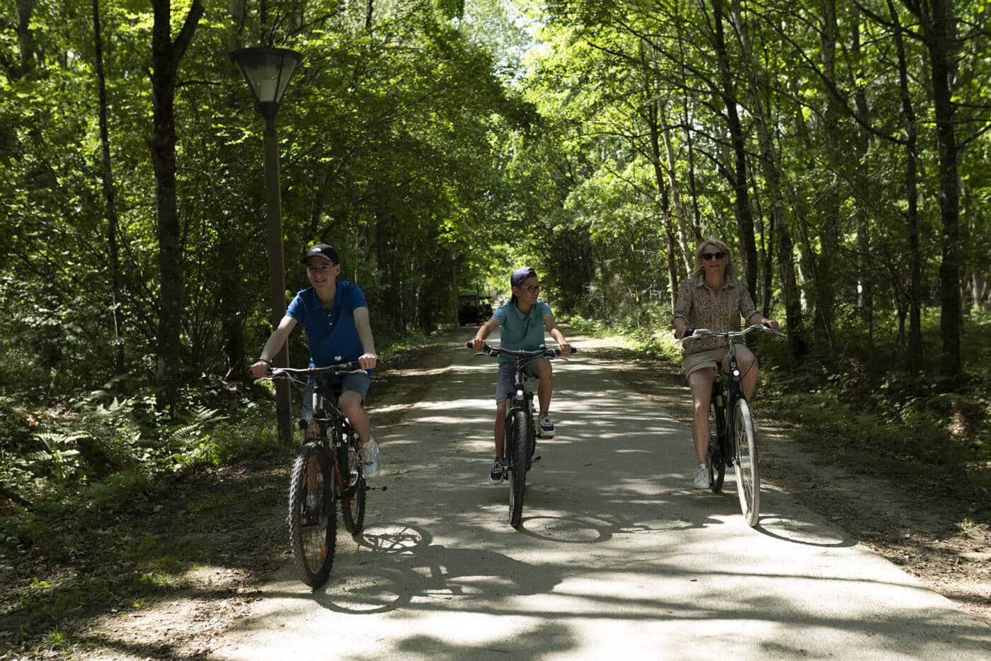Vélo à Center Parcs Domaine du Bois aux Daims