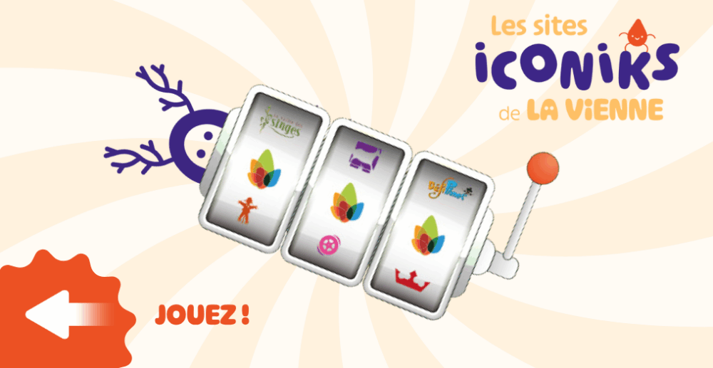 Jeu Sites iCONiKS Crosselling