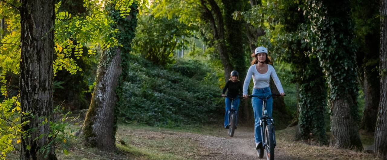 Trott in Poitou Agence Zebrelle Agence Zebrelle 18746 e1760971838429 - Tourisme Vienne