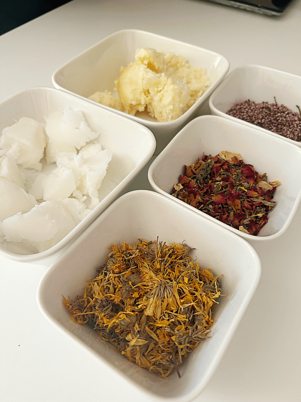 IMG 4558 - Tourisme Vienne