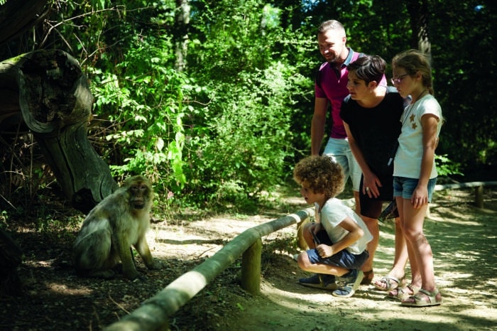 l-aventure-de-kaya-a-la-vallee-des-singes-filmsetimages.fr-13141-2.jpg
