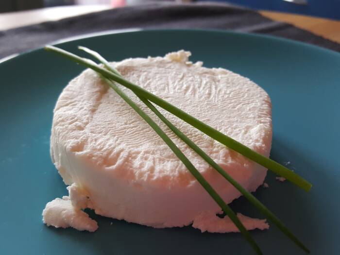 goat cheese 1284848 1280 - Tourisme Vienne