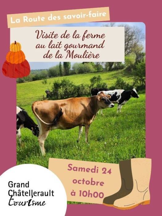 380e42a123054d33b968d436b5f4a384.base.image - Tourisme Vienne