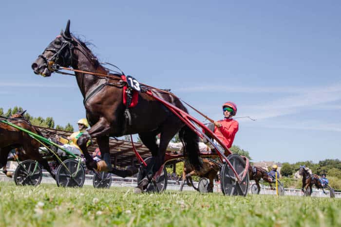 hippodrome de la roche posay 11 ao t 2024 96 - Tourisme Vienne