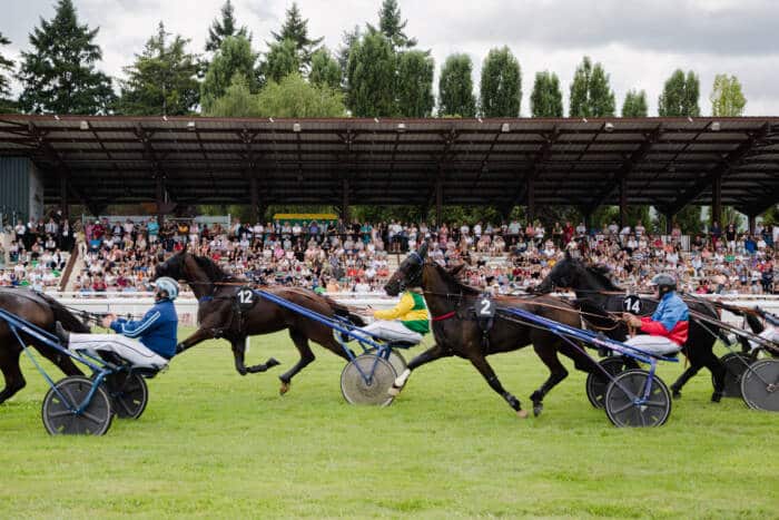hippodrome de la roche posay 21 juillet 2024 46 - Tourisme Vienne
